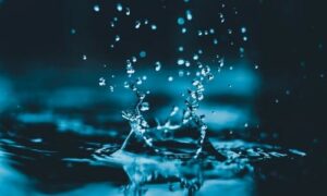 litanias_Liturgia al Inmaculado Corazón de María